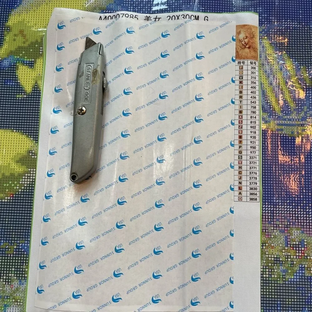 LEONARDO DAVINCI Small Diamond painting to be completed!